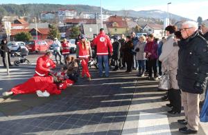 AED PRED HOFERJEM 16 FOTO LJUBO VUKELIČ